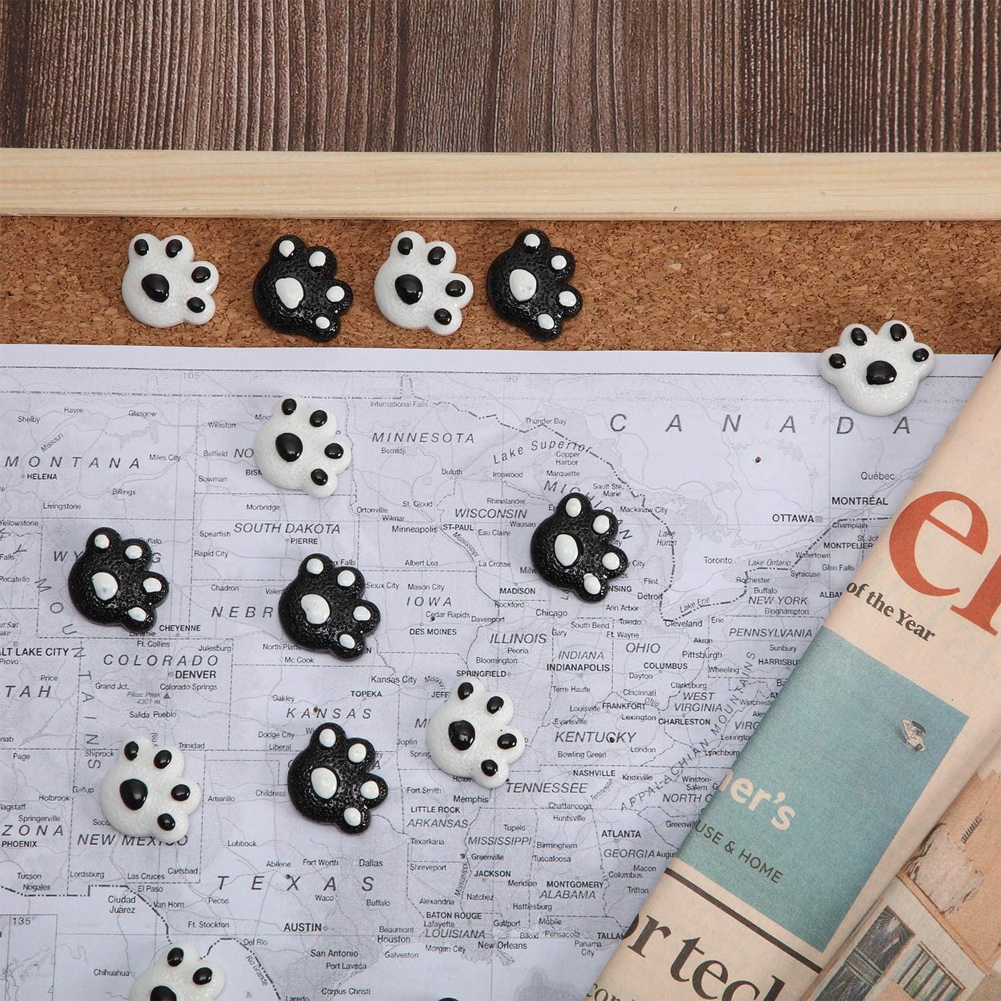 25 Pieces Paw Print Push Pins Animal Paw Thumb Tacks Decorative Pushpins for Cork Boards Home and Office (Color 1)